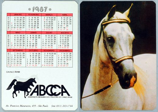 ABCCA - Cavalo Arabe 1987 03