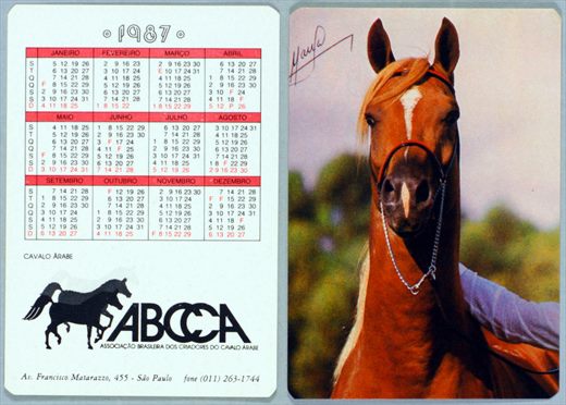 ABCCA - Cavalo Arabe 1987 04