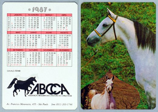 ABCCA - Cavalo Arabe 1987 05