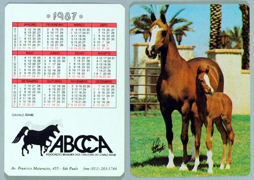 ABCCA - Cavalo Arabe 1987 06