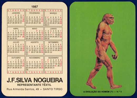 J. F. Silva Nogueira - A evolucao do homem No.5 1987