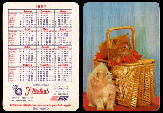 J. Mateus - Gatos 02 1987