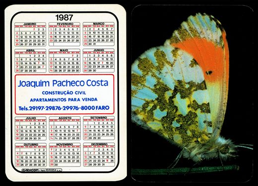 Joaquim Pacheco Costa 1987 1987