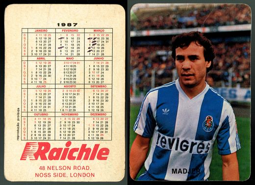 Raichle 1987