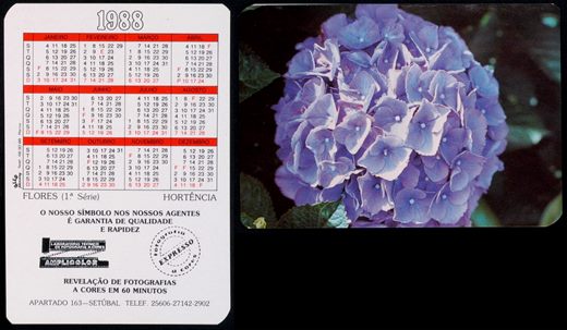 Amplicolor - Flores - Hortencia 1988