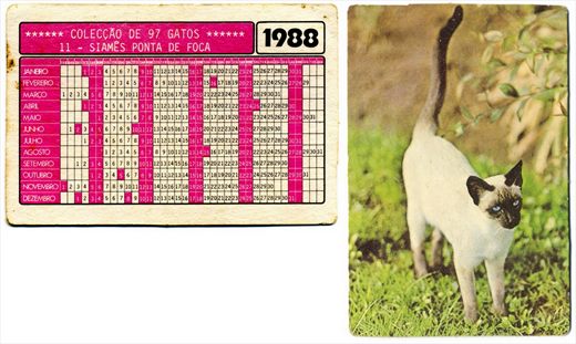 Gatos 11 1988