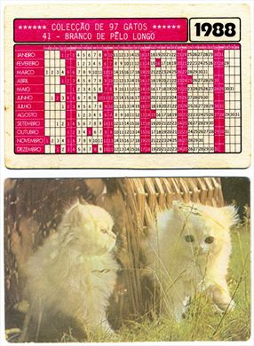 Gatos 41 1988