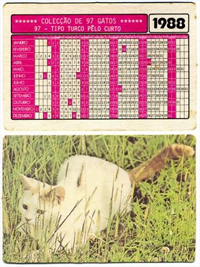 Gatos 97 1988