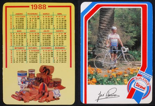 Sicasal 1988