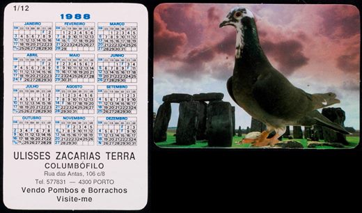 Ulisses Zacarias Terra - Columbofilo 01 1988