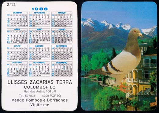 Ulisses Zacarias Terra - Columbofilo 02 1988
