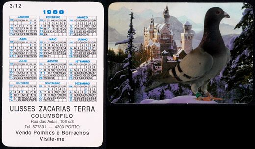 Ulisses Zacarias Terra - Columbofilo 03 1988