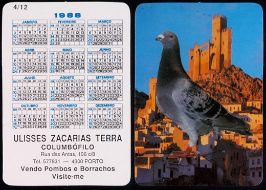 Ulisses Zacarias Terra - Columbofilo 04 1988