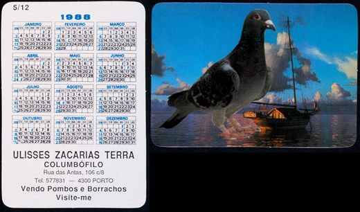 Ulisses Zacarias Terra - Columbofilo 05 1988