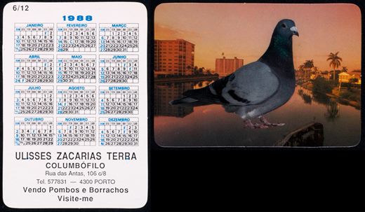 Ulisses Zacarias Terra - Columbofilo 06 1988