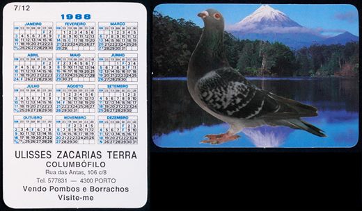 Ulisses Zacarias Terra - Columbofilo 07 1988