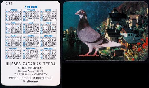 Ulisses Zacarias Terra - Columbofilo 08 1988