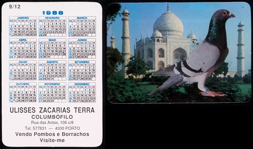 Ulisses Zacarias Terra - Columbofilo 09 1988