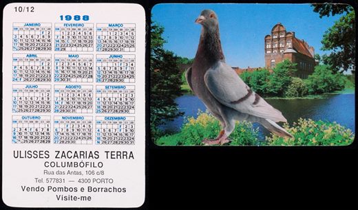 Ulisses Zacarias Terra - Columbofilo 10 1988