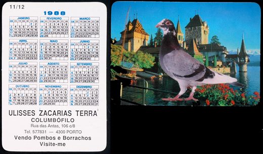 Ulisses Zacarias Terra - Columbofilo 11 1988
