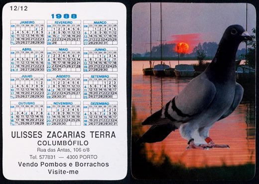 Ulisses Zacarias Terra - Columbofilo 12 1988