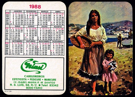 Niasi 1988
