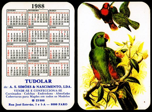 Tudolar de A.S. Simoes e Nascimento 1988 01