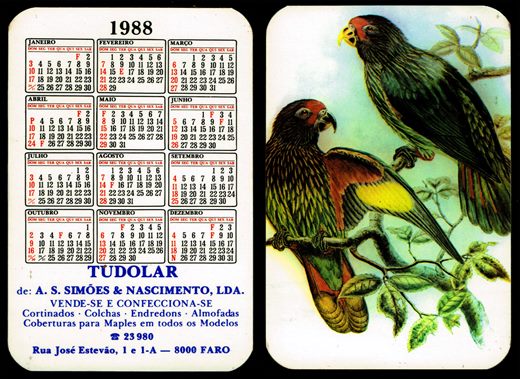 Tudolar de A.S. Simoes e Nascimento 1988 02