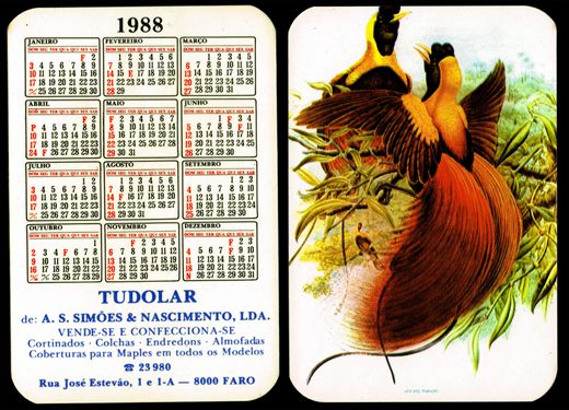 Tudolar de A.S. Simoes e Nascimento 1988 03