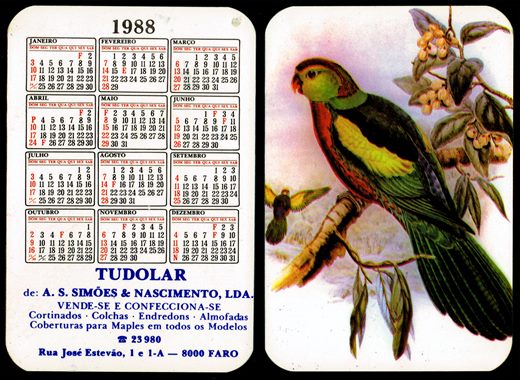 Tudolar de A.S. Simoes e Nascimento 1988 04