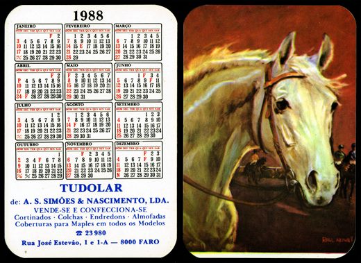 Tudolar de A.S. Simoes e Nascimento 1988 07