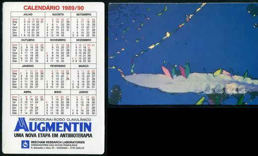 Beecham Research Laboratories - Augmentin 04 1989