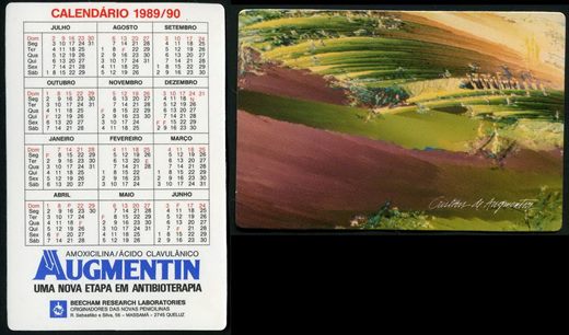 Beecham Research Laboratories - Augmentin 06 1989