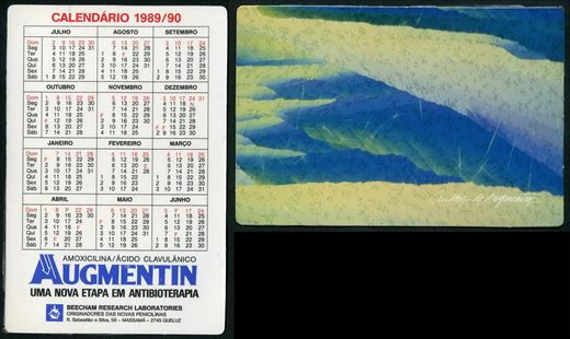 Beecham Research Laboratories - Augmentin 08 1989