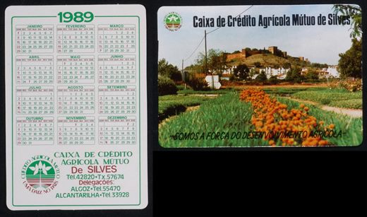 Caixa de Credito Agricola Mutuo de Silves 1989