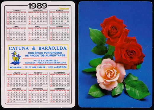 Catuna-Barao 1989