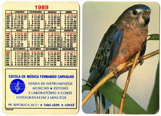 Escola de Musica Fernando Carvalho 1989