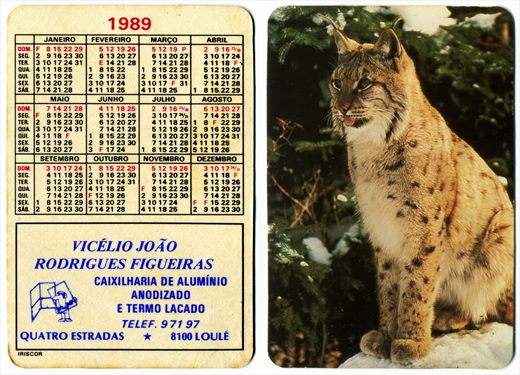 Vicelio Joao Rodrigues Figueiras (Lince) 1989
