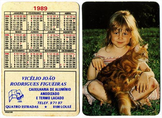 Vicelio Joao Rodrigues Figueiras (Rapariga com gato) 1989