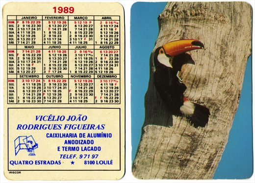 Vicelio Joao Rodrigues Figueiras (Tucano) 1989