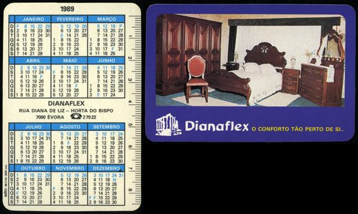 Dianaflex 1989