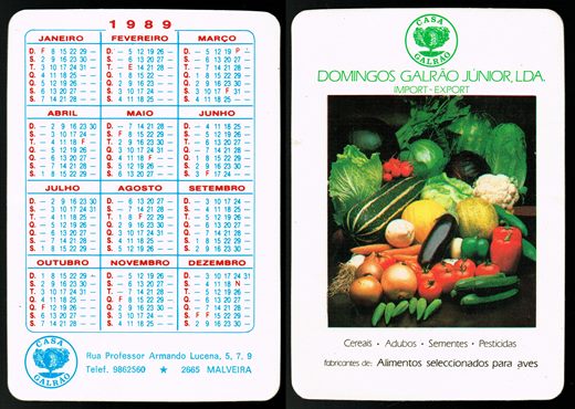 Domingos Galrao Junior 1989