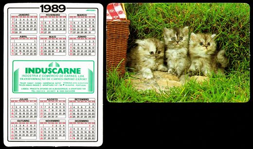 Induscarne 06 1989