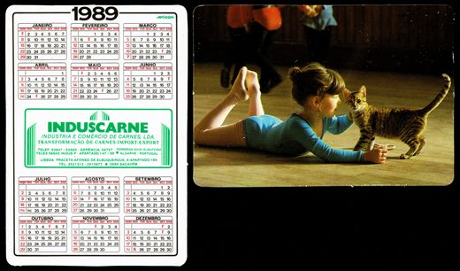 Induscarne 12 1989