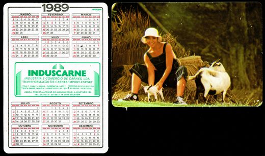 Induscarne 13 1989