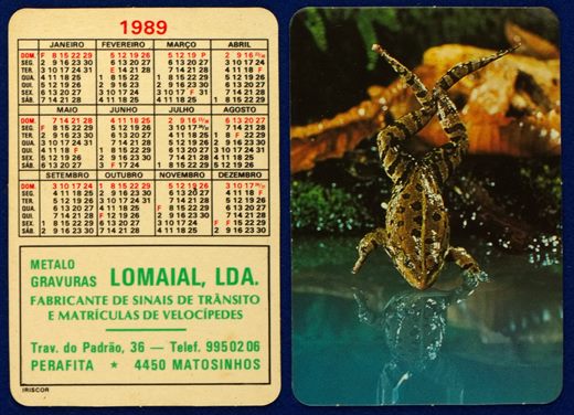 Lomaial 01 1989