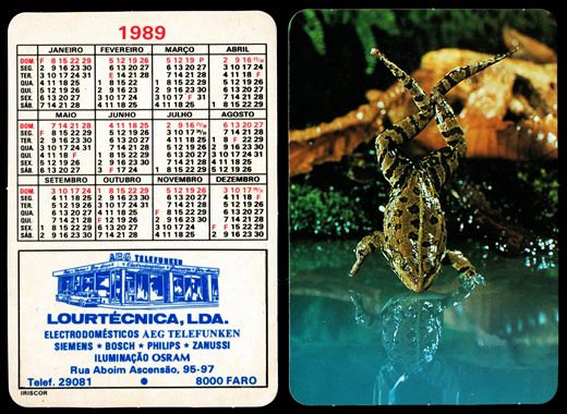 Lourtecnica 1 1989