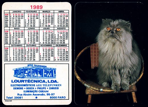 Lourtecnica 2 1989