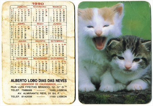 Alberto Lobo Dias das Neves 1990