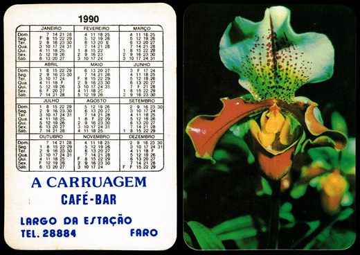 A Carruagem - Flor 1990 1